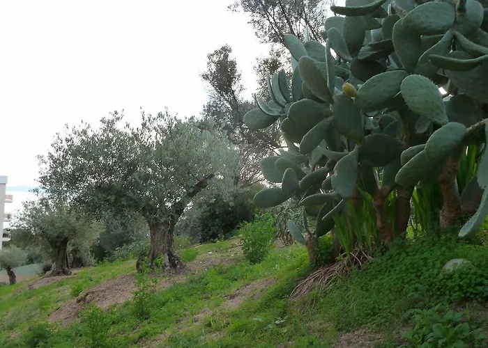 Apartment F2 Le Lavezzi Ajaccio (Corsica)