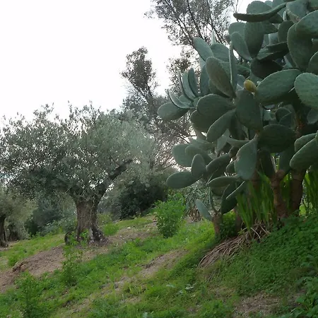 公寓 F2 Le Lavezzi 阿雅克肖